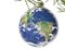 The World Ornament