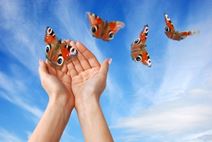 Nature’s Guide to Career Success