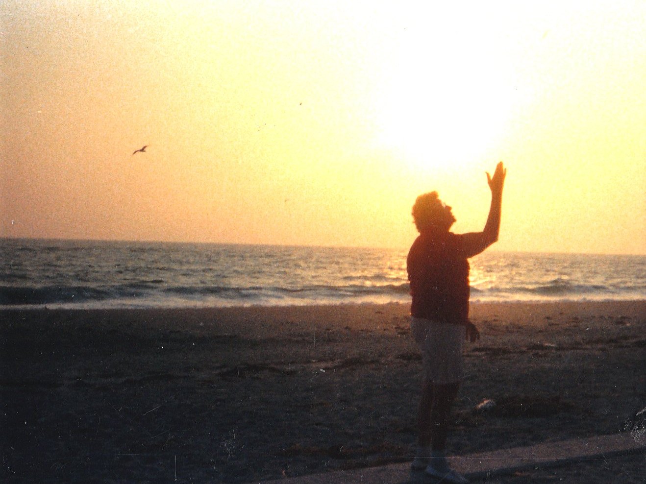 Slide Image