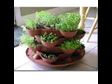 Indoor Culinary Herb Garden