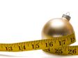 Holiday Weight Loss   Tips