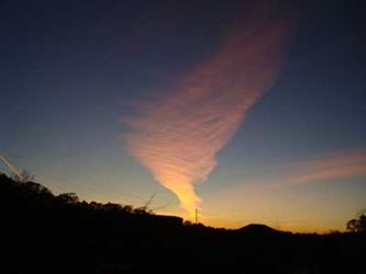 Angel Sightings