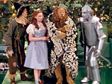 the wizard of oz
