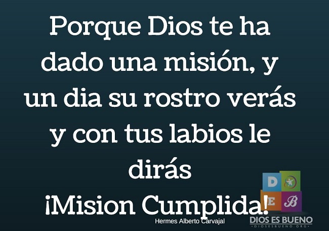 frases para no darse por vencido