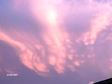Angel Sightings