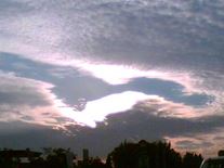 Angel Sightings