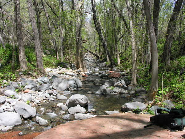 Slide Image