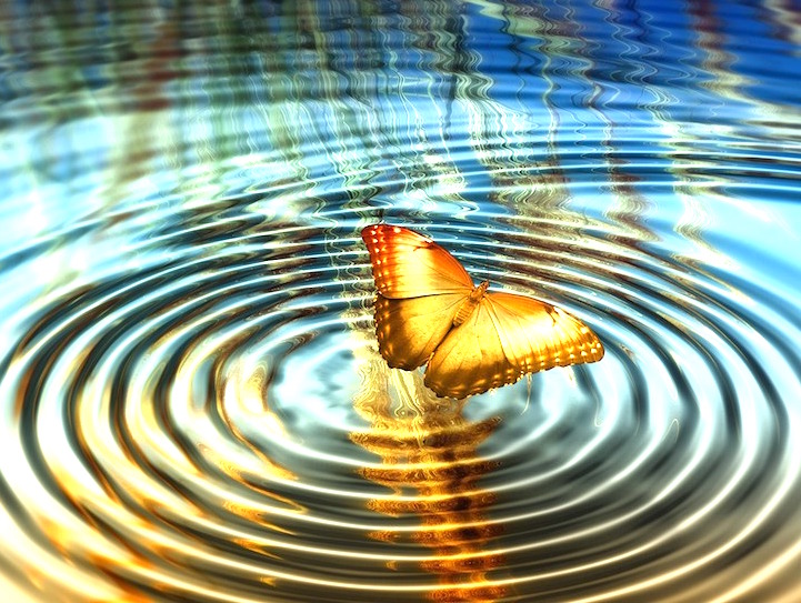 The Butterfly Effect Healing And Transformation Riset