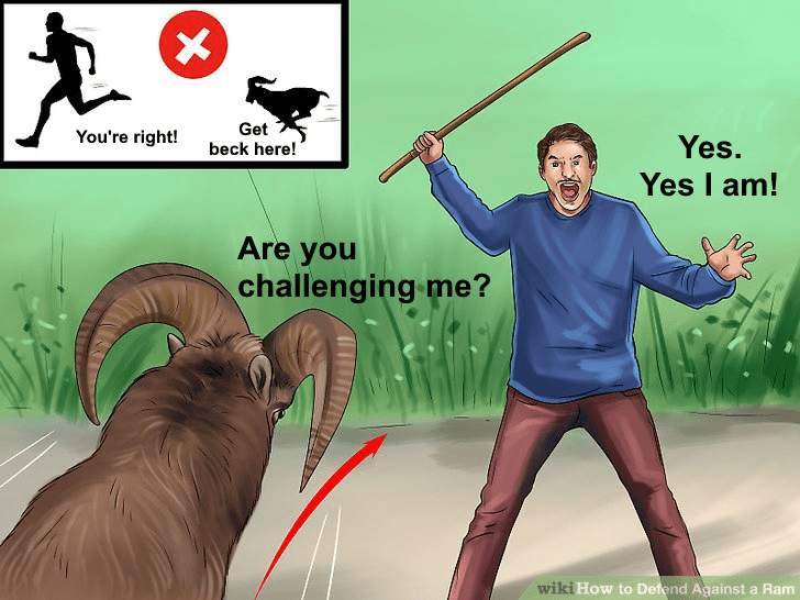 How To Argue With An Aries: A Visual Guide - Oh My Stars