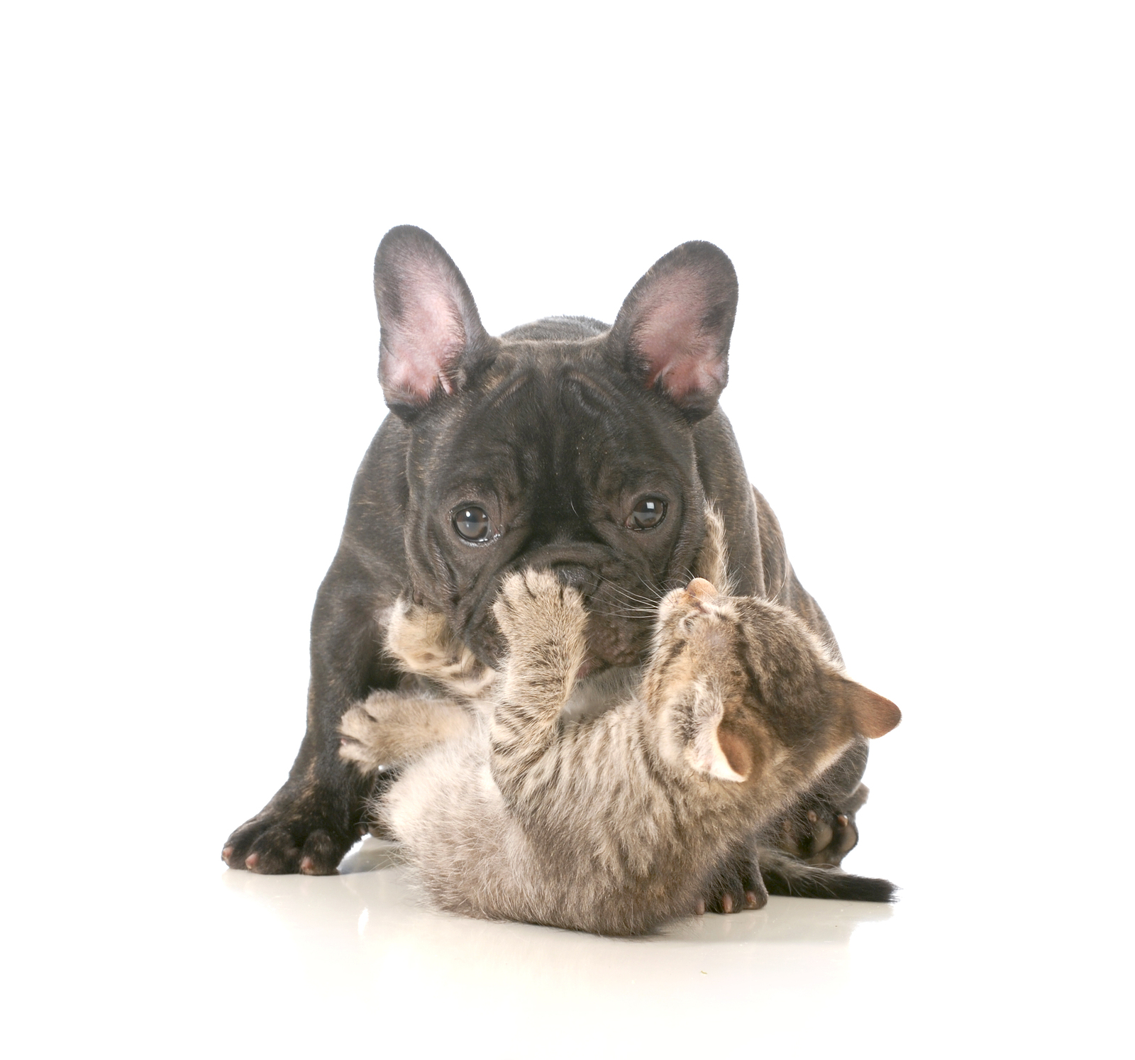 Tips For More Playfulness In Your Parenting Parenting On Purpose
