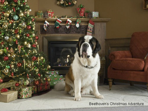Beethoven's Christmas Adventure 2011