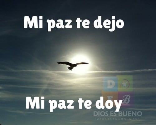 La paz os dejo, mi paz os doy