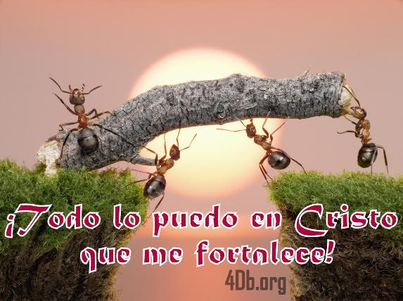 Todo lo puedo en Cristo que me fortalece