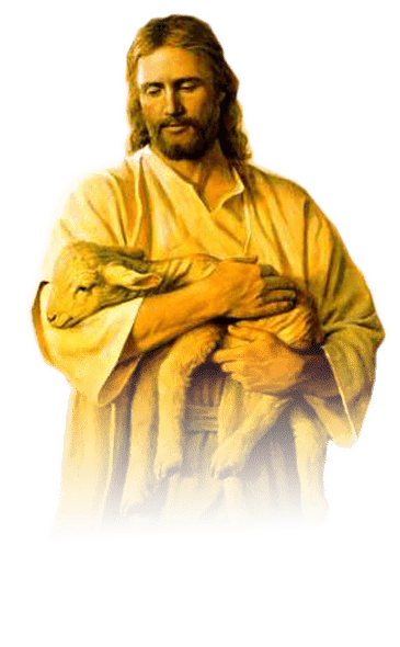 reflexiones en imagenes de Jesus