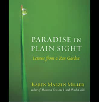 paradise in plain sight book cover