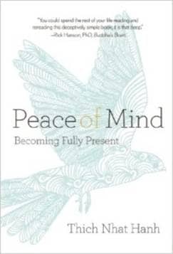 peace of mind book cover