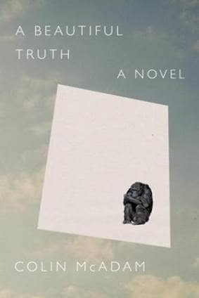 A Beautiful Truth Book Cover